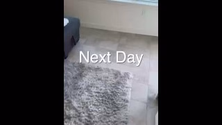 Blonde Babes Coco Lovelock And Haley Spades In San Diego