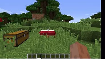 Vídeo de verificação