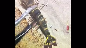 Видео для верификации