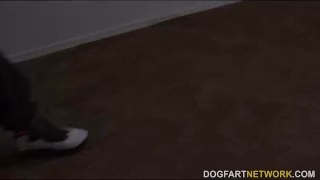 MILF babe Kiki Daire Gets Interviewed at DogFart